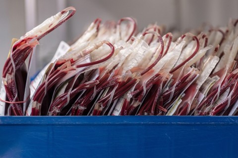 Skandal um infizierte Blutkonserven sollte vertuscht werden