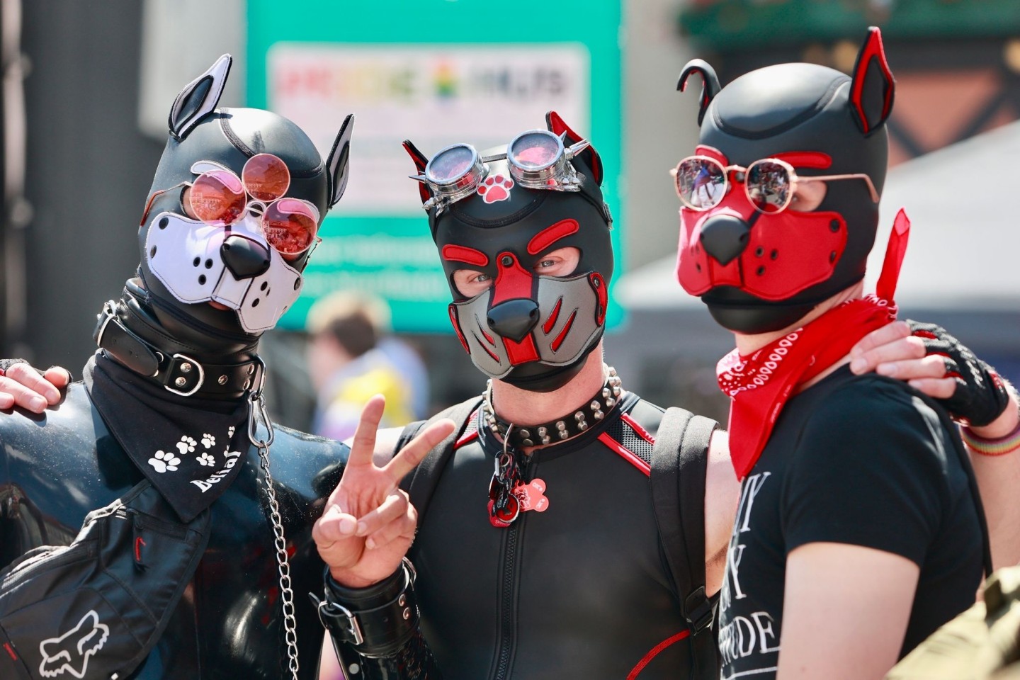 Pup Play wurde in den letzten Jahren zu einem sichtbareren Phänomen, wie hier bei dem Christopher Street Day in Wernigerode.