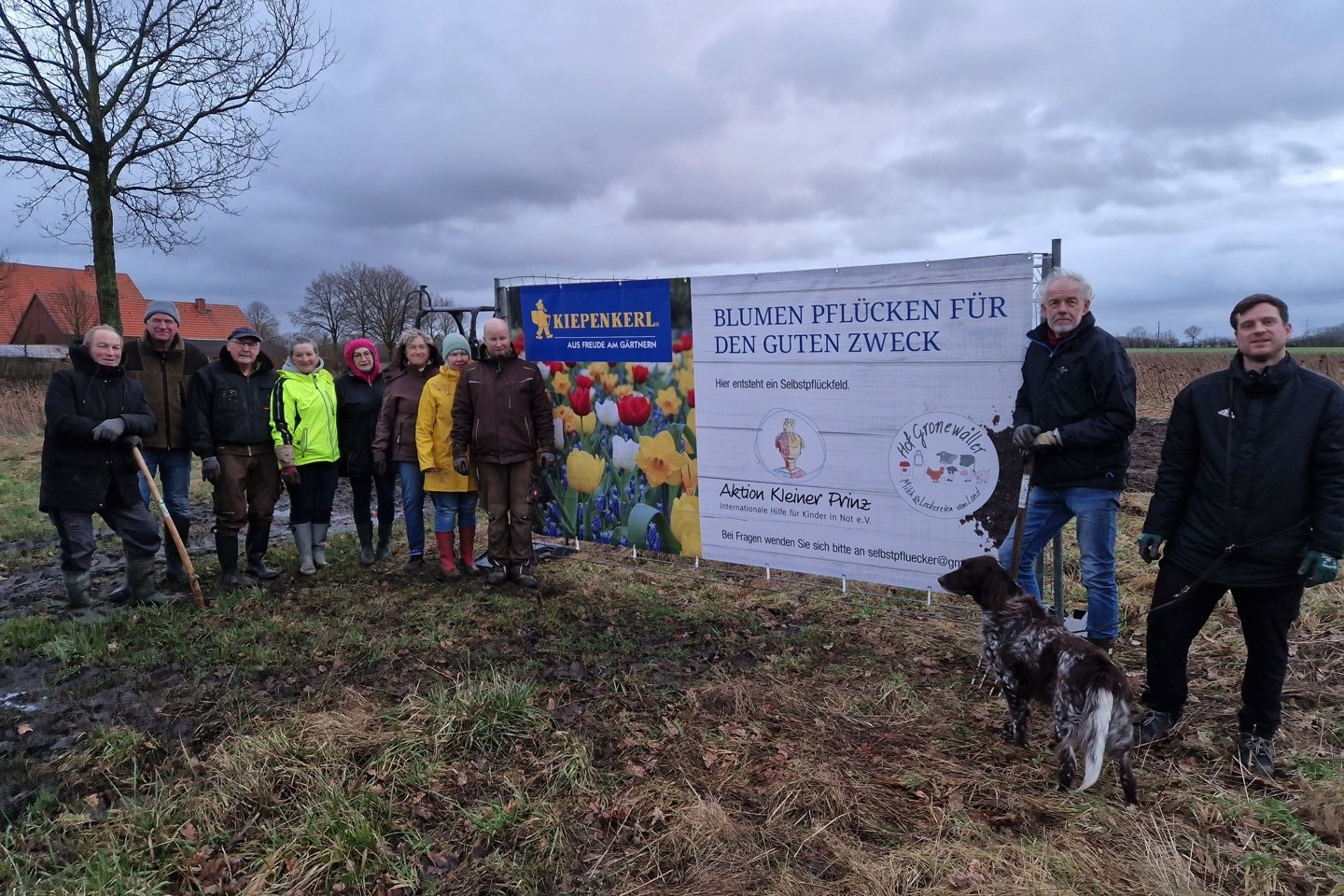 Blumenzwiebeln,Aktion Kleiner Prinz,Tulpen,Blumen zum selber pflücken,Everswinkel,