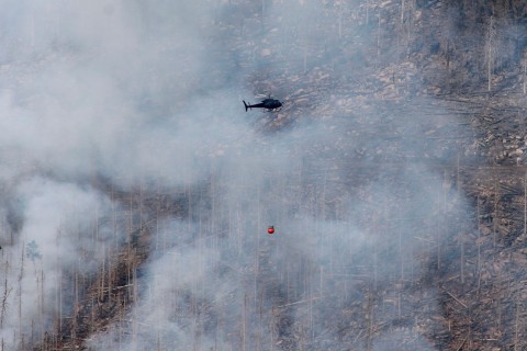 Feuer am Brocken - Einsatz könnte noch Tage dauern