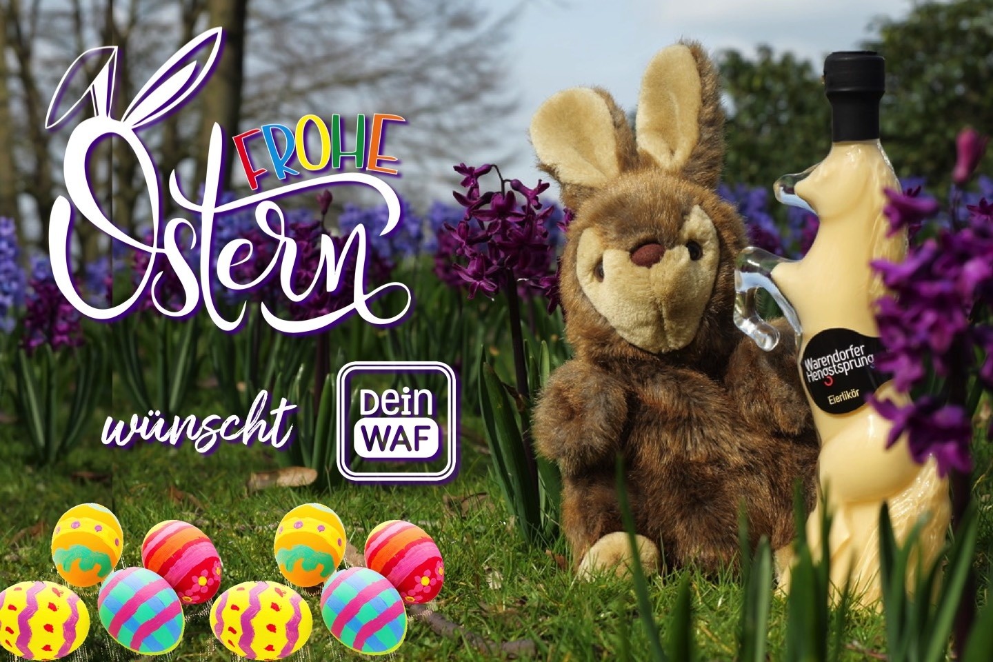 Ostern,Frohes Osterfest,Warendorf,Sassenberg,Warendorfer Hengstsprung,