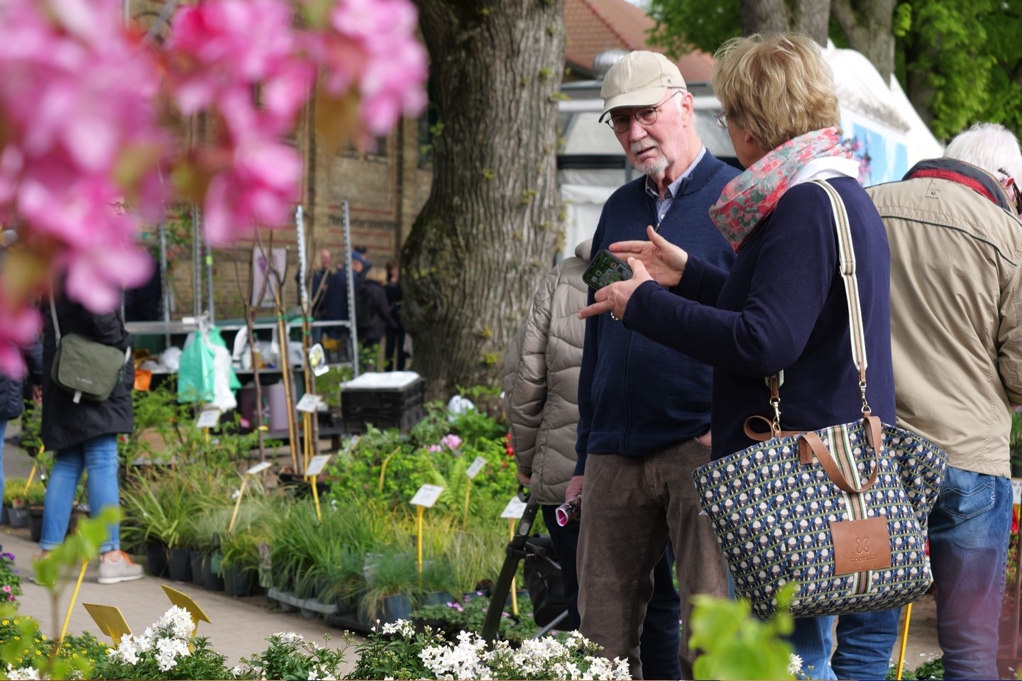 Gartenfestival,NRW Landgestüt,Warendorf,Poggel Polstermöbel,Blumen,