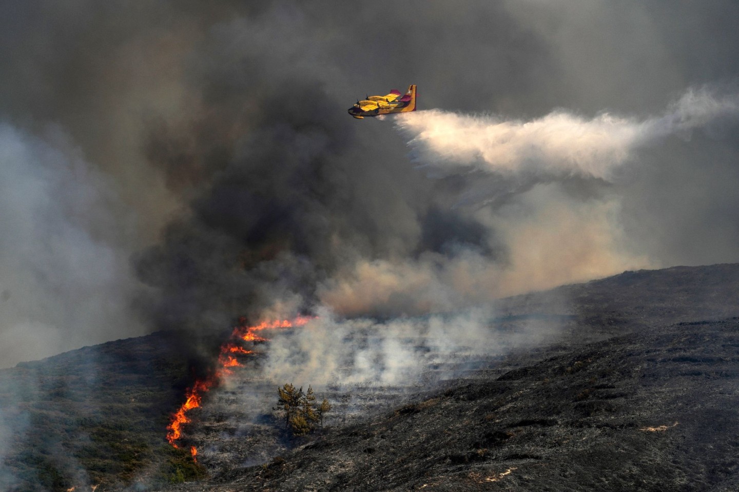 Löschflugzeug im Einsatz gegen die Flammen in Griechenland (Symbolbild).