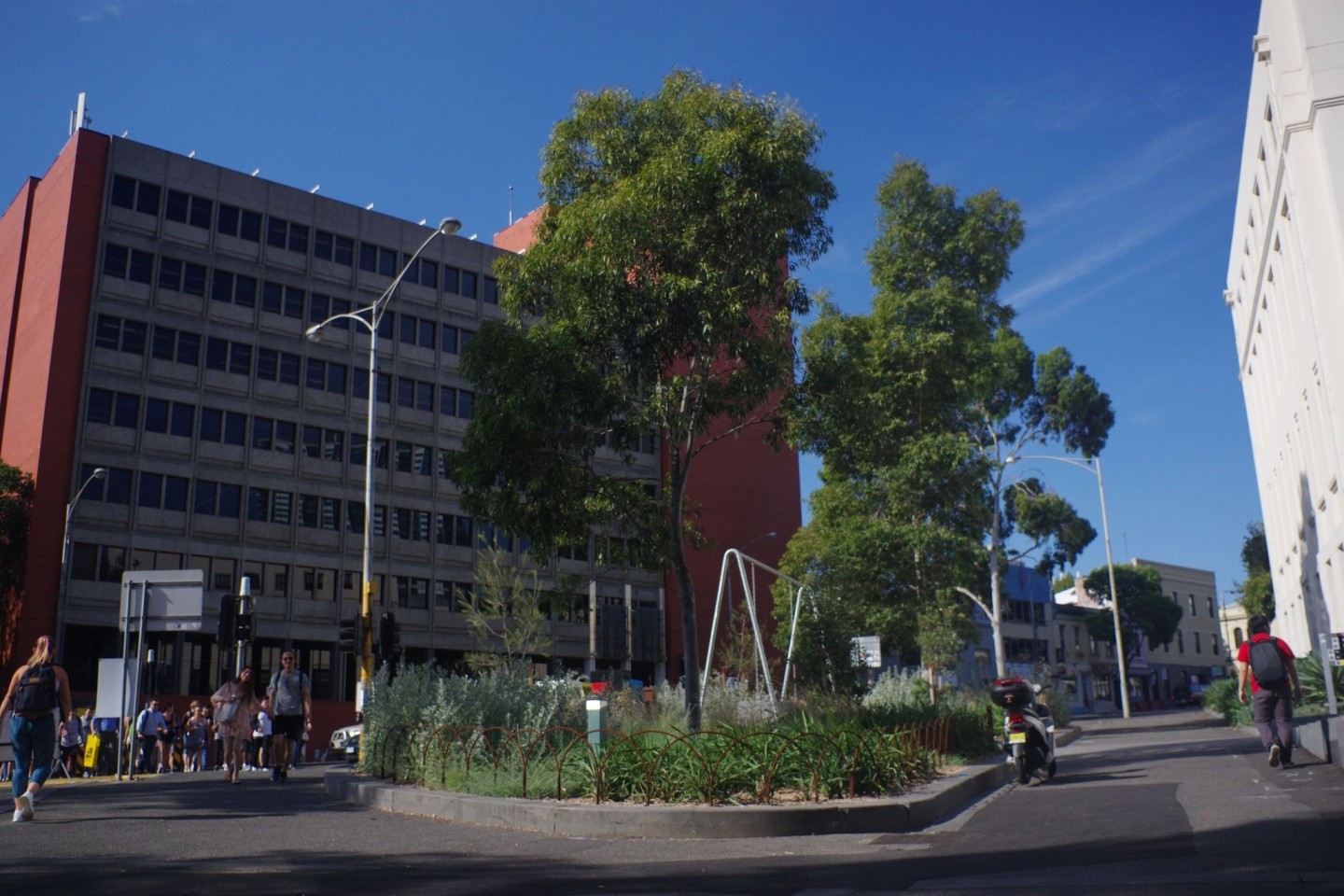 Blick auf die untersuchte Grünfläche in Melbourne. Einer Studie zufolge wurde dort ein siebenfacher Anstieg der Insektenarten binnen drei Jahren festgestellt.