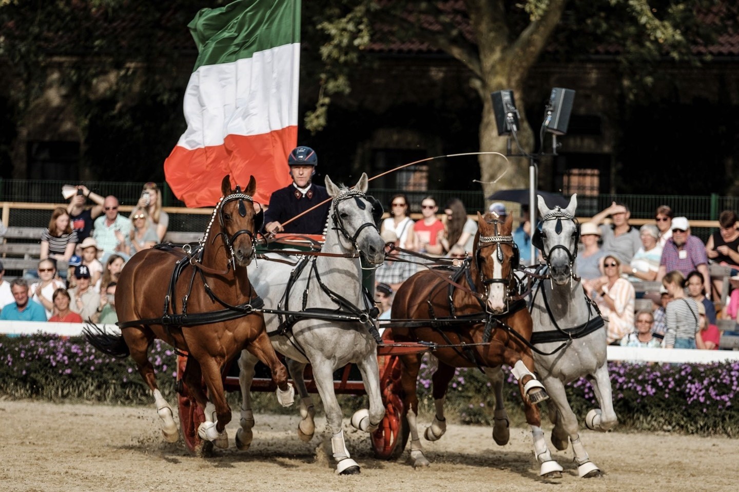 Hengstparade,Warendorf,Nordrhein-Westfälischen Landgestüt ,Hengste,Felix Austermann,