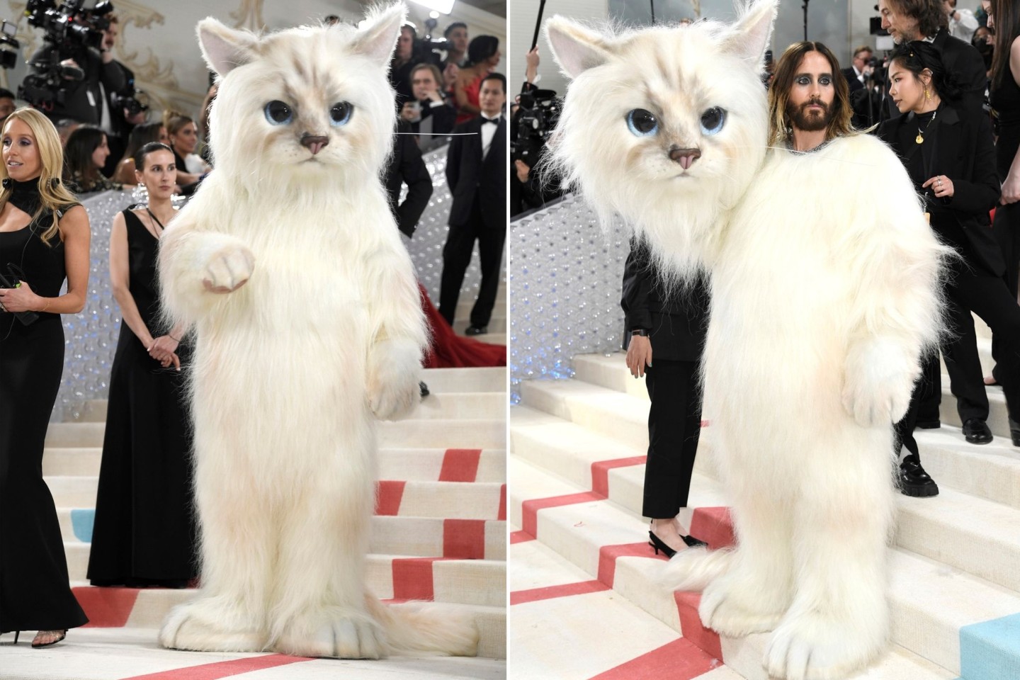 Verkleidet als Katze: Jared Leto sorgte mit seinem Kostüm für Aufsehen bei der MET Gala.