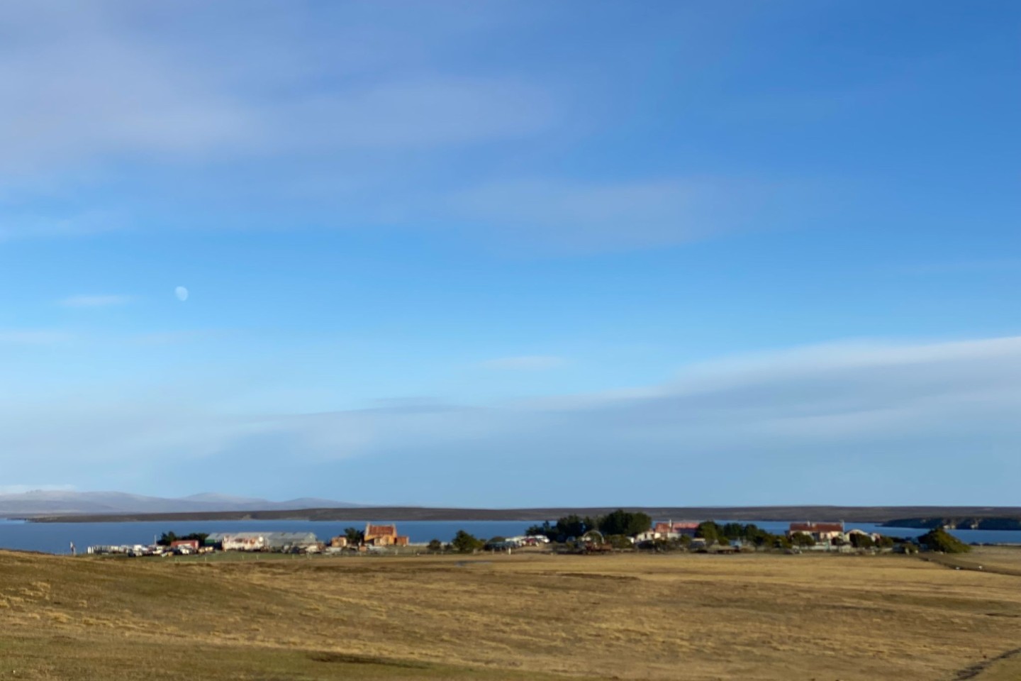 Die Falklandinseln liegen im südlichen Atlantik vor der Küste Südamerikas.