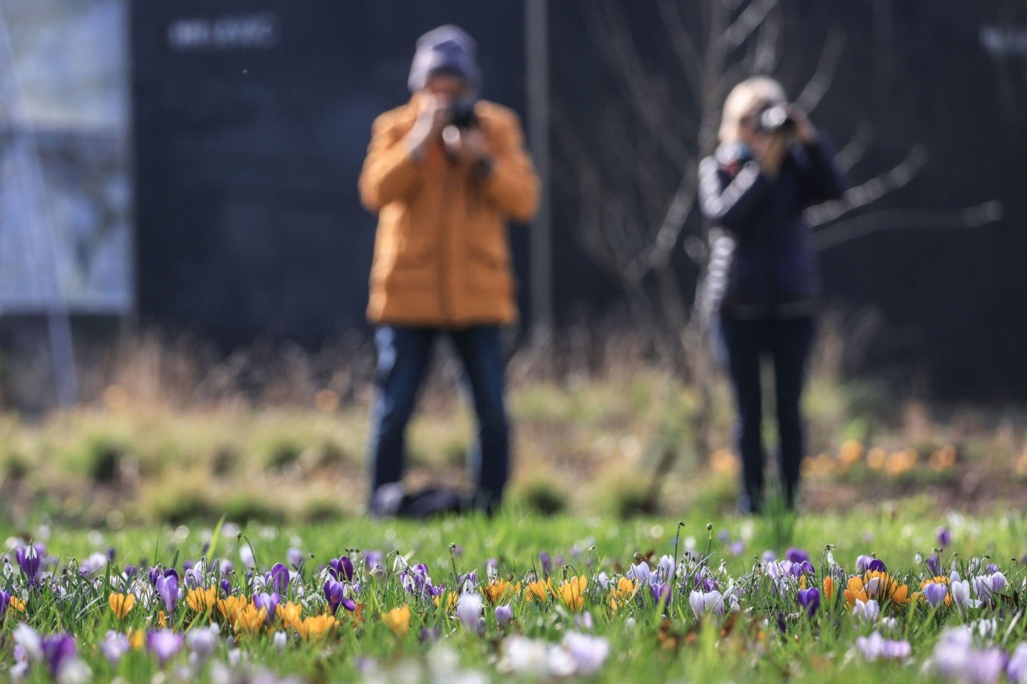 Der Frühling hält Einzug in Deutschland.