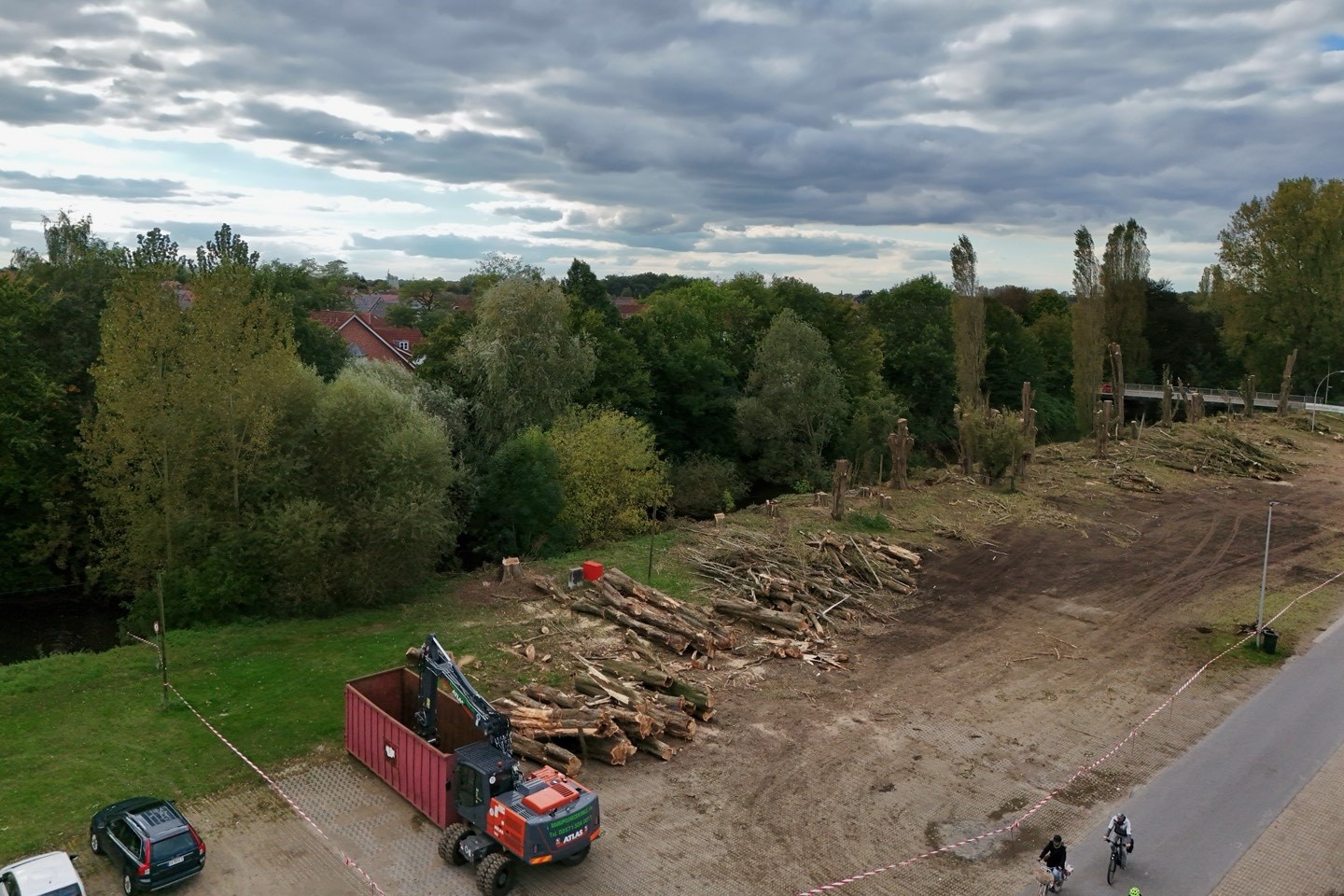 Pappel,Baumfällung,Lohwall,Stadt Warendorf,Fettmarkt,