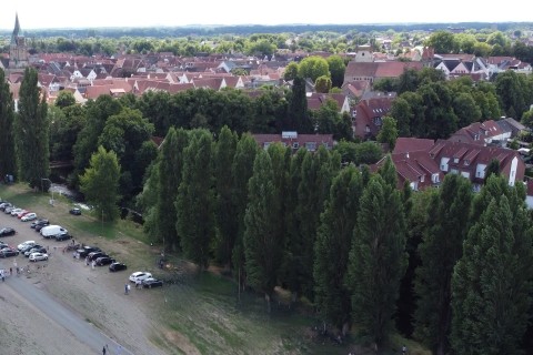 Fällung von 28 Pappeln am Unteren Lohwall geplant