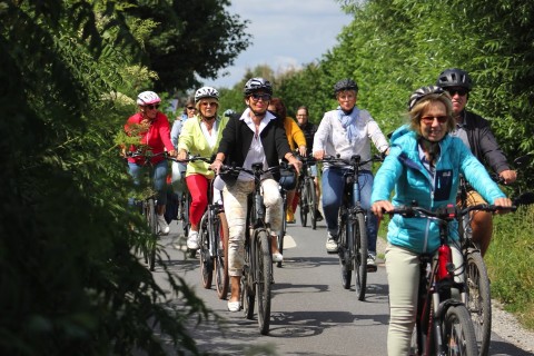 Fahrt in die Natur