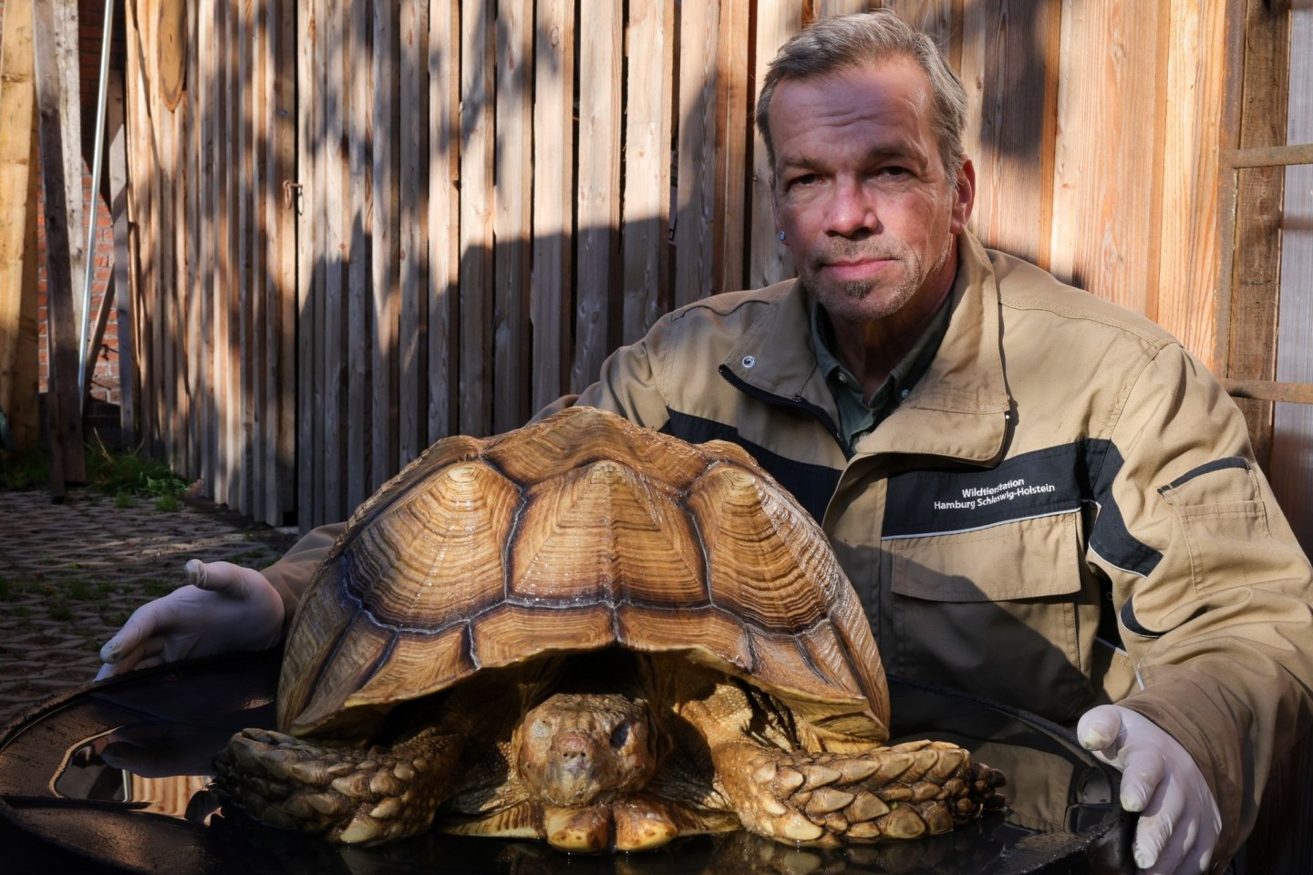 Christian Erdmann, Leiter des Wildtier- und Artenschutzzentrum bei Elmshorn, neben der toten Riesenschildkröte.