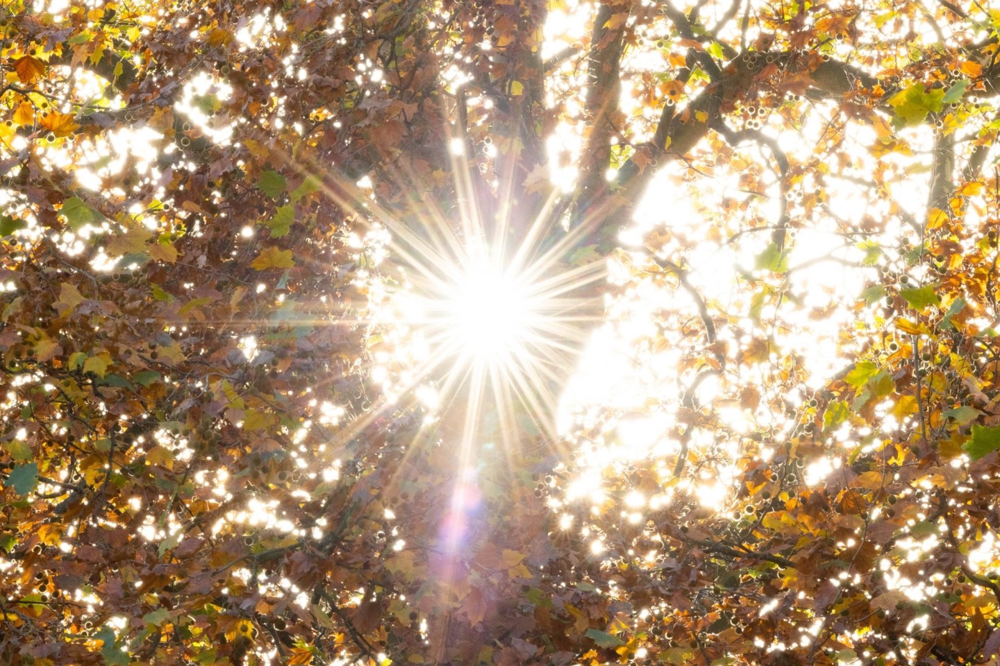 Sonne im Oktober. Der vergangene Monat war global gesehen um 0,40 Grad wärmer als der bisher wärmste Oktober 2019.